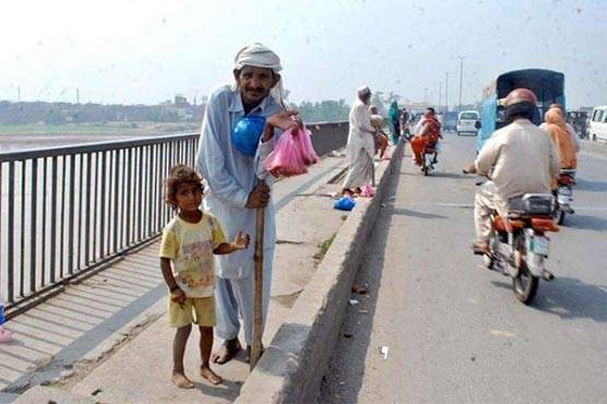  چیل گوشت کی فروخت پر پابندی پر عملدرآمد نہ ہو سکا