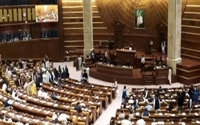 مریم نواز پنجاب کی پہلی خاتون وزیر اعلیٰ منتخب