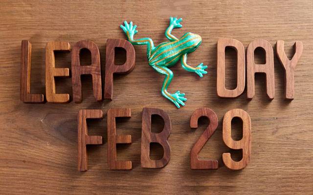 Leap Day 2029, Leap Day Doodle by google, City42 , Gregorian Colander 