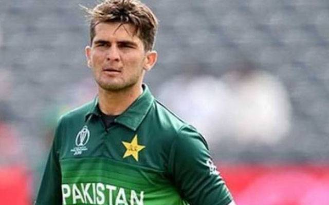 پی ایس ایل 9،  شاہین شاہ آفریدی نے  اہم سنگ میل عبور کرلیا
