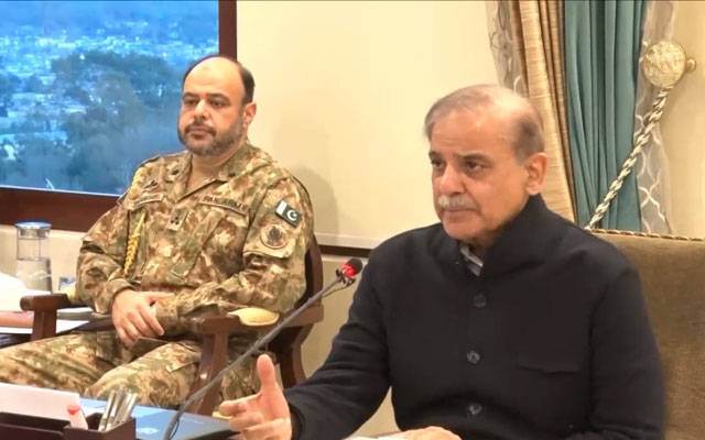 بجلی چوری کا خاتمہ، منصوبہ وزیر اعظم کو پیش کر دیا گیا