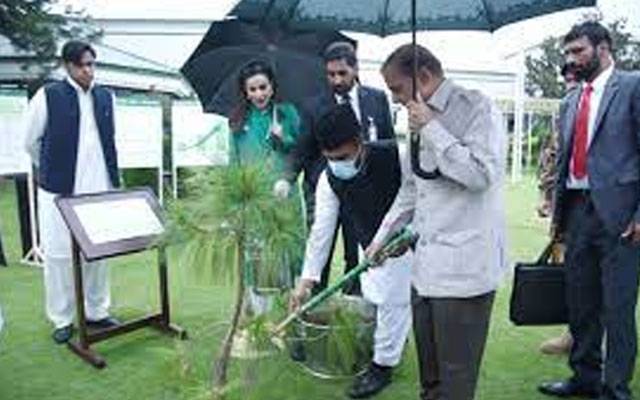وزیراعظم میاں شہبازشریف نے شجرکاری مہم 2024 کا آغاز کردیا