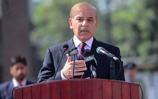 Shahbaz Sharif forms cabinet committees, Cabinet committee on the Chinese projects, 