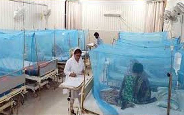 ڈینگی وائرس پھر سر اٹھانے لگا 