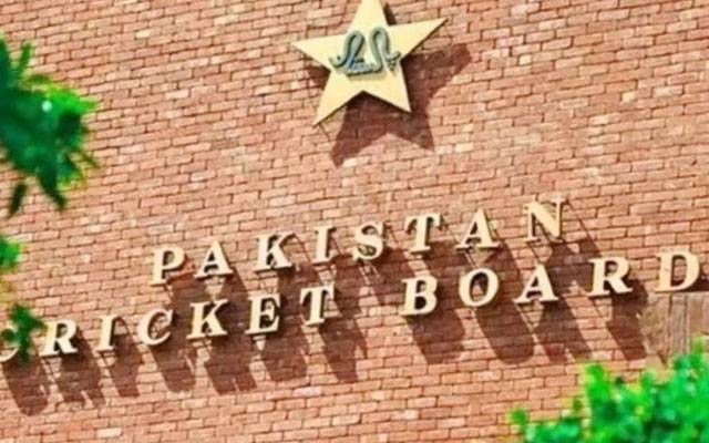 ریڈاوروائٹ بال کرکٹ کیلئےالگ الگ کوچ مقرر کرنےکا فیصلہ