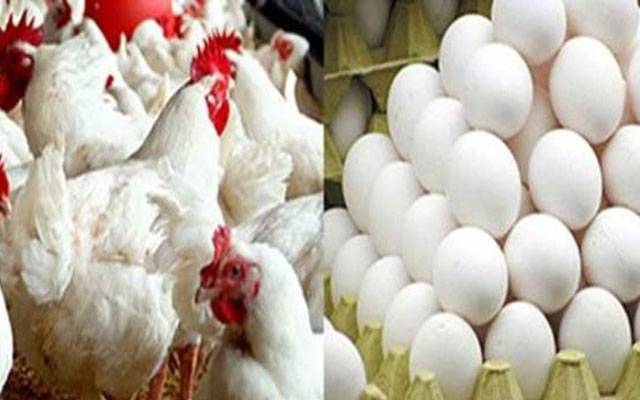 آج کے گوشت اور انڈوں کے ریٹس -  جمعہ 29 مارچ،2024