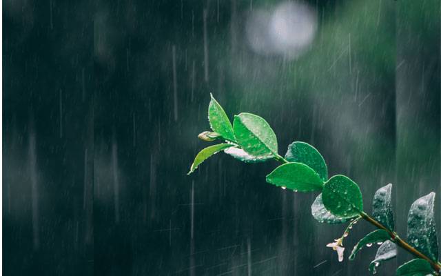Weather update, Met Office Forecast, rain expected, City42 