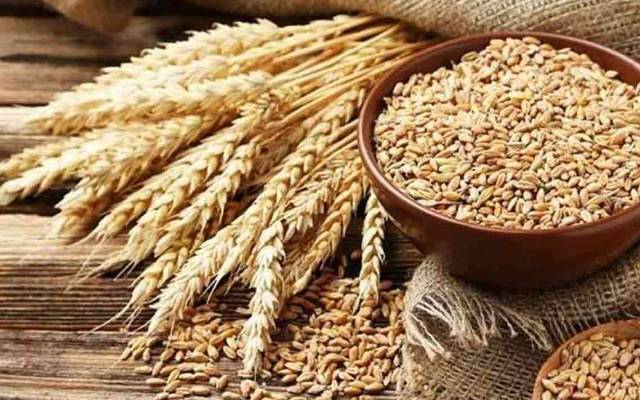 پنجاب میں گندم کی امدادی قیمت کم ،خریداری بھی صرف 20 لاکھ میٹرک ٹن ہوگی