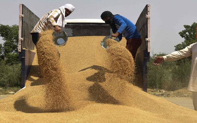 wheat procurement, Pakistan wheat procurement season, City42