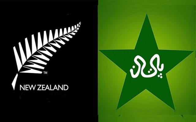 New Zeeland Tour of Pakistan 2024, T20 Series, Pakistan vs New Zeeland, Pakistan Cricket Board, Pakistan Team Management, Head Coach of Pakistan, Azhar Mahmood, Wahab Riaz, Rashid , Saeed Ajmal, Bowling Coach, City42