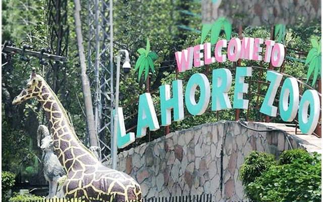 لاہور چڑیا گھر عید کے دوسرے روز بھی بند، شہری مایوس 