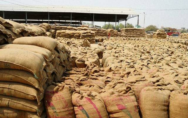 Punjab Government, Bardana app, Punjab wheat procurement, City42 
