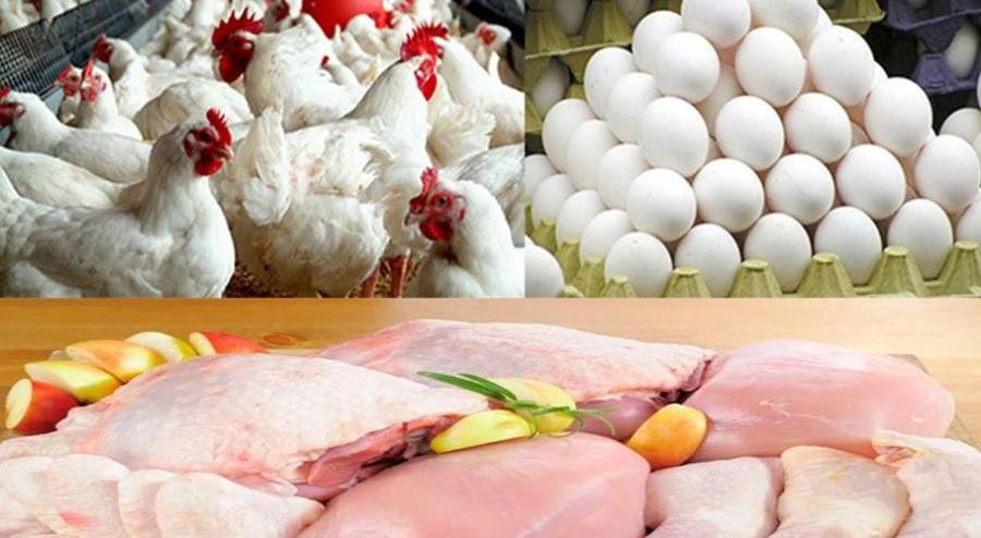 آج کے گوشت اور انڈوں کے ریٹس -پیر 15 اپریل، 2024