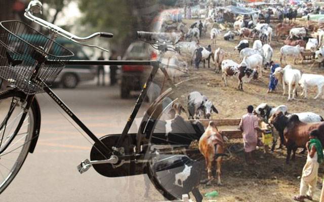  شہر میں سائیکل اور مویشی چور بے لگام، 200 سے زائد مقدمات درج 