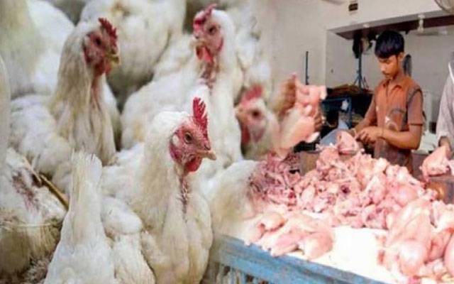 عوام کو سستا چکن فراہم کرنا حکومت کی اولین ترجیح ہے، محکمہ لائیو سٹاک 