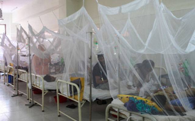 لاہور میں ڈینگی بخار کے ایک اور مریض کی تصدیق،ملیریا کا بھی خطرہ