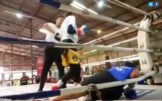 Professional Boxing, City42 , Thai Boxer , Roma Yousaf, City42 
