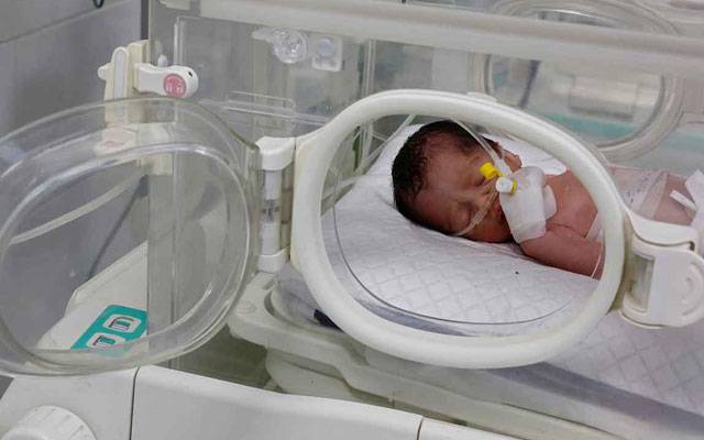 Palestinian infant born from a dying mother's womb, City42 