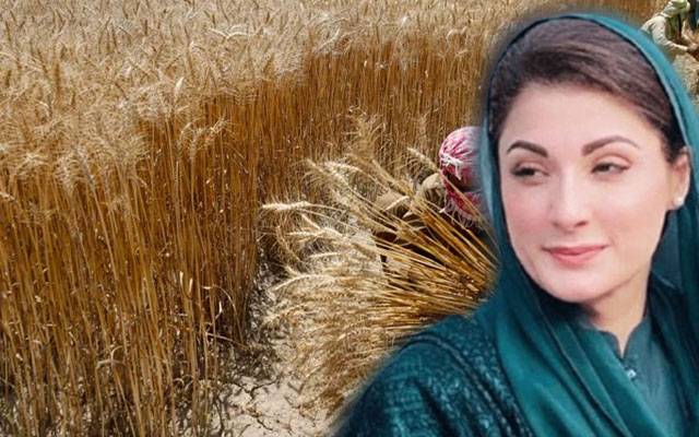 کاشتکاروں کی فلاح سب سے زیادہ عزیز ہے، وزیر اعلیٰ پنجاب 