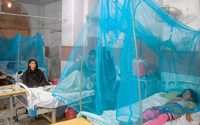 Dengue Fever, Dengue in Lahore, City42 , New Dengue patient , 
