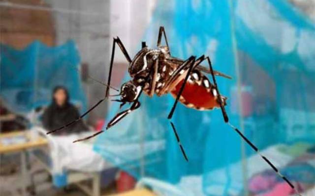 ڈینگی کے مزید 4 مشتبہ مریض ہسپتالوں میں زیر علاج