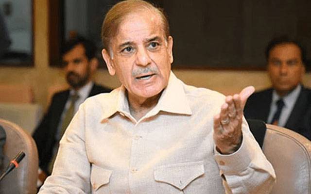  نوازشریف کے ساتھ ظلم کی وجہ سے پارٹی صدارت مجھے سونپی گئی تھی، شہبازشریف 