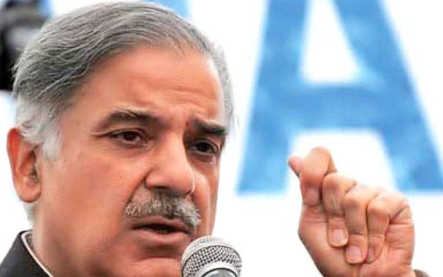 Shahbaz Sharif, Wheat Procurement campaign, PASCO wheat procurement, Punjabi farmers wheat crisis, Nawaz Sharif, Shahbaz Sharif, Wheat price decline, KPK Government , City42