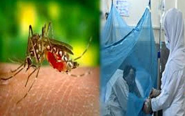  پنجاب میں ڈینگی کے کیس میں اضافہ جاری،  لاہور کے مختلف ہسپتالوں میں گزشتہ 24 گھنٹوں میں ڈینگی کے مزید 2 نئے مریض رپورٹ ہوئے