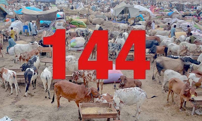  لاہور : شاہراہوں، گلی کوچوں میں قربانی کے جانور فروخت کرنے پر پابندی