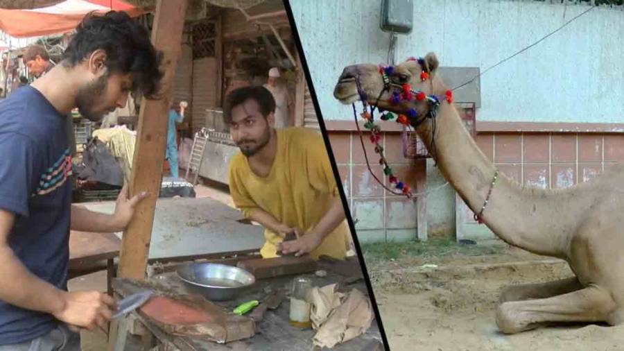 قصابوں نے جانور قربان کرنے کے کتنے ریٹ مقرر کیے ہیں؟