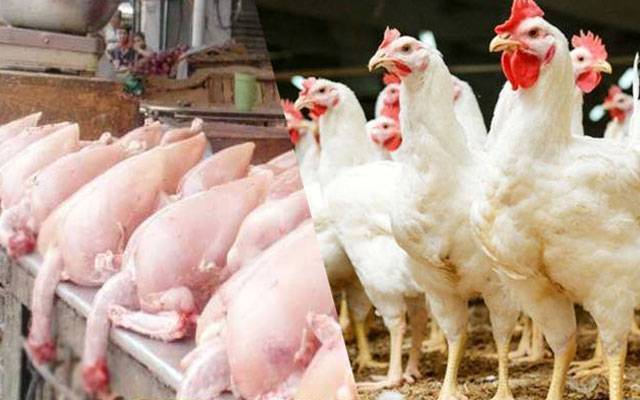  برائلر مرغی کی قیمت میں بڑا اضافہ