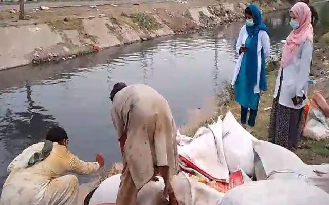 فوڈ سیفٹی ٹیموں کی کارروائی ، 6 ہزار کلو چائے کی پتی برآمد , 10ہزار کلو بورا تلف