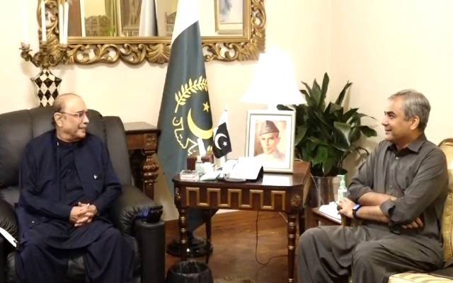 محسن نقوی کی صدر آصف زرداری سے ملاقات، ملکی صورتحال پر تبادلہ خیال 