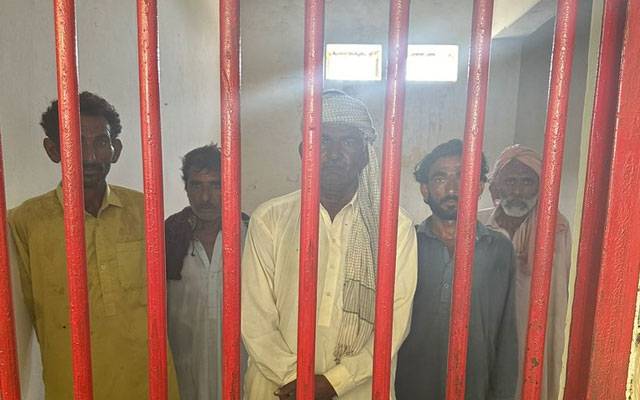 اونٹنی کی ٹانگ کاٹنے والے ملزمان کو وزیر اعلیٰ سندھ کے حکم پر گرفتار کرلیاگیا 