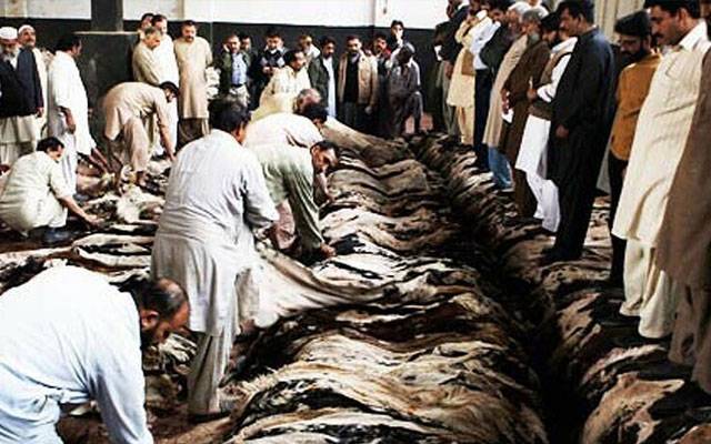محکمہ داخلہ نے قربانی کی کھالیں جمع کرنے کیلئے ہدایات جاری کر دیں 