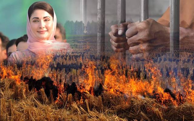 سموگ : فصلوں کی باقیات جلانےوالے جیل جائیں گے
