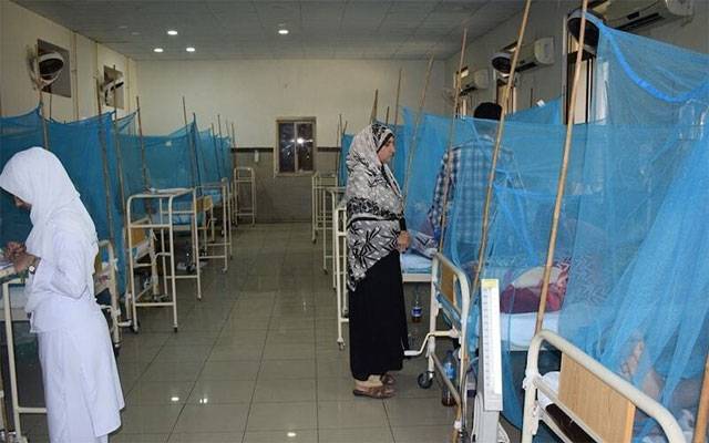 Dengue new cases, Punjab Dengue spread, dengue virus prevention failed 