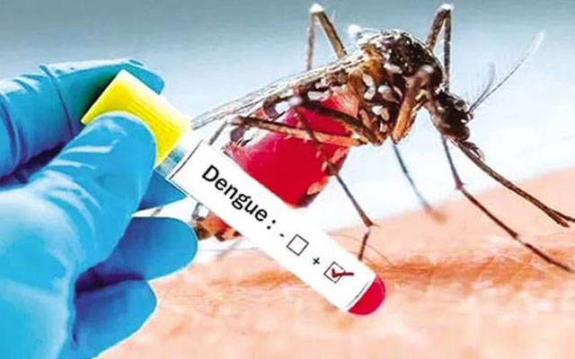 ڈینگی کے ڈنگ میں تیزی، پنجاب بھر میں مزید 63 کیسز رپورٹ
