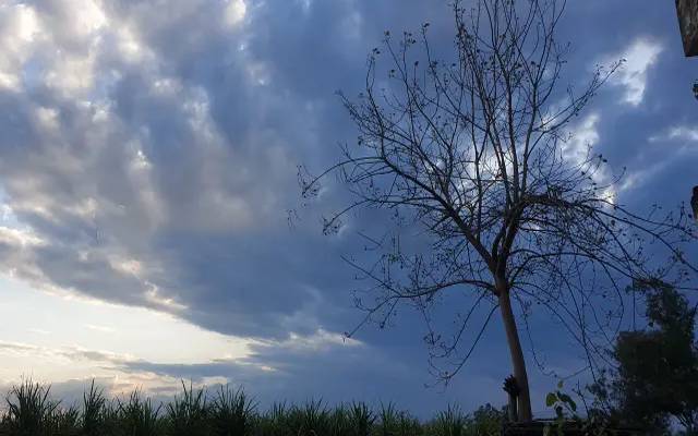 فضائی آلودگی میں کمی، محکمہ موسمیات نے بارش سے متعلق اہم پیشگوئی کردی