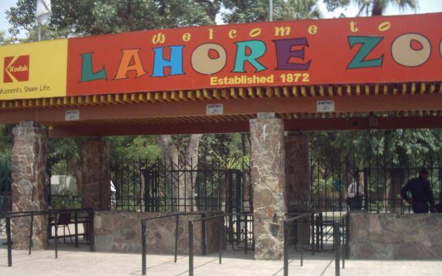 لاہور چڑیا گھر کی ٹکٹنگ کی کامیاب و تاریخی نیلامی کر دی گئی