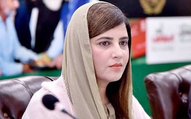 جھوٹی حکومت بانی پی ٹی آئی سے ڈیل مانگ رہی ہے: زرتاج گل