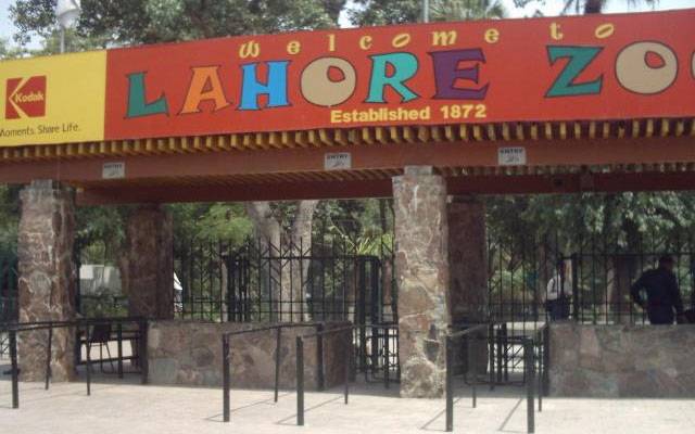 لاہور چڑیا گھر میں عوام کے لیے مچھلی گھر کھول دیا گیا