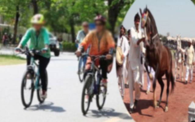 ہارس اینڈکیٹل شو2025کی مناسبت سےدلچسپ تقریبات جاری