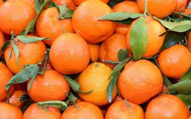 غذائیت سے بھرپور پھل کینو کے  فوائد جان کر آپ حیران رہ جائیں گے