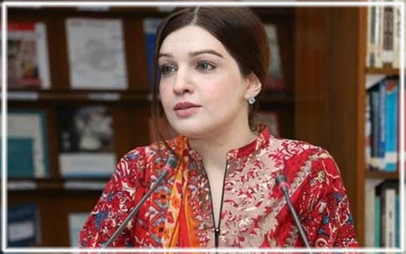 بھارت دنیا بھر میں دہشت گردی اور ٹارگٹ کلنگز میں ملوث ہے: مشعال ملک
