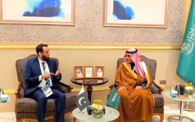 پاکستان اور سعودیہ کا مشترکہ پروڈکشن کیلئے کمیٹی تشکیل دینے پر اتفاق
