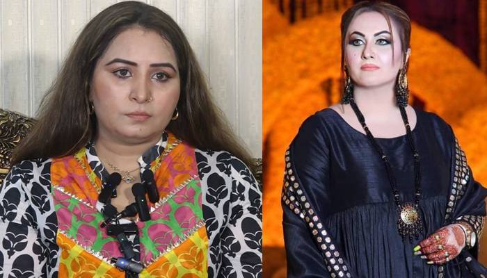  نرگس کی بے باک تصاویر پھیلانے کا مقدمہ ، اداکارہ نگار چوہدری کی عبوری ضمانت میں 5 مارچ تک توسیع 
