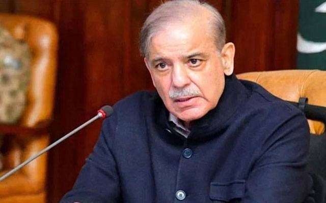 مہنگائی میں کمی،زر مبادلہ کے ذخائر میں اضافہ ہوا ہے :شہباز شریف 