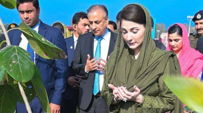 پنجاب میں چیف منسٹر پلانٹ فار پاکستان مہم کے تحت وسیع پیمانے پر شجرکاری کا آغاز