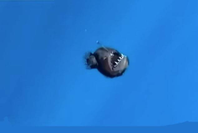 Climate change, Sea, ocean environment, 